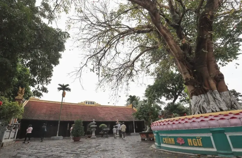 Khám phá Chùa Phật Hà Nội, trung tâm thiêng liêng với không gian Phật giáo đầy bình yên.