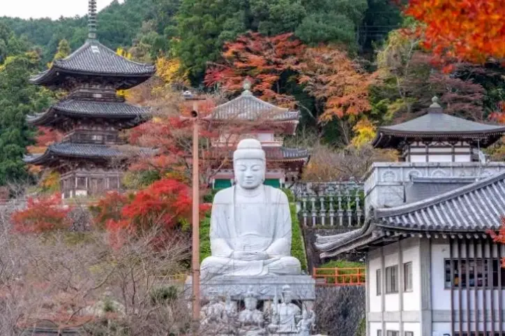 Khám phá nghệ thuật Phật Nhật độc đáo, kết hợp cổ điển và hiện đại để khơi dậy sự sáng tạo.