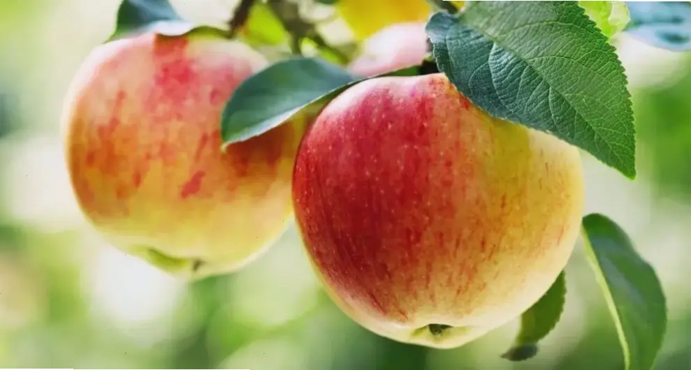 Kinh nghiệm thực tế