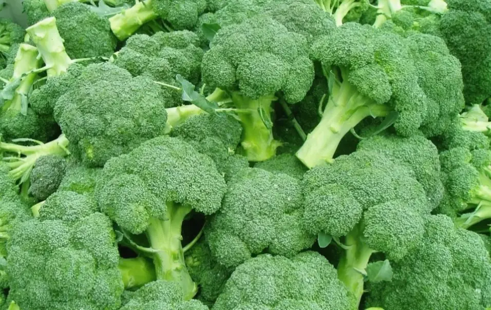 Kinh nghiệm thực tế