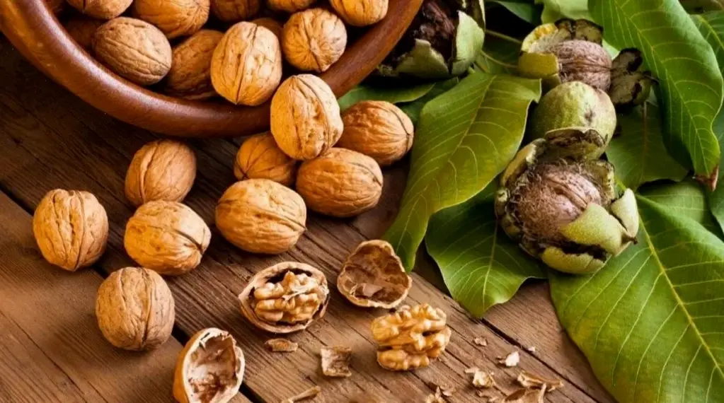 Kinh nghiệm thực tế