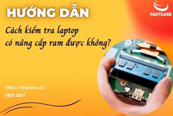 Kinh nghiệm thực tế từ người dùng