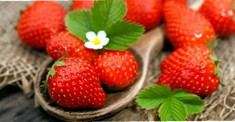 Lợi ích của chất chống oxy hóa