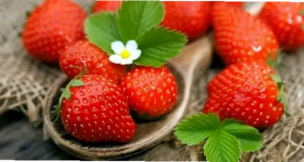 Lợi ích của chế độ ăn uống lành mạnh