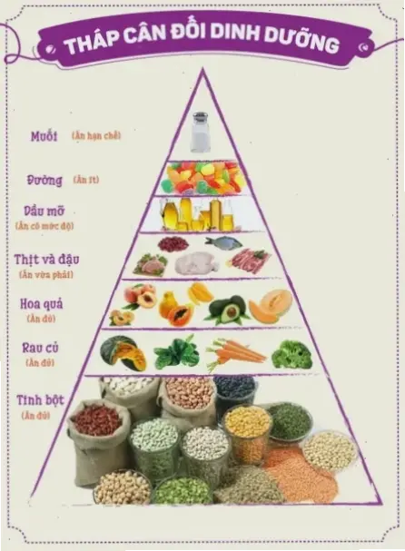 Lợi ích của từng loại thực phẩm