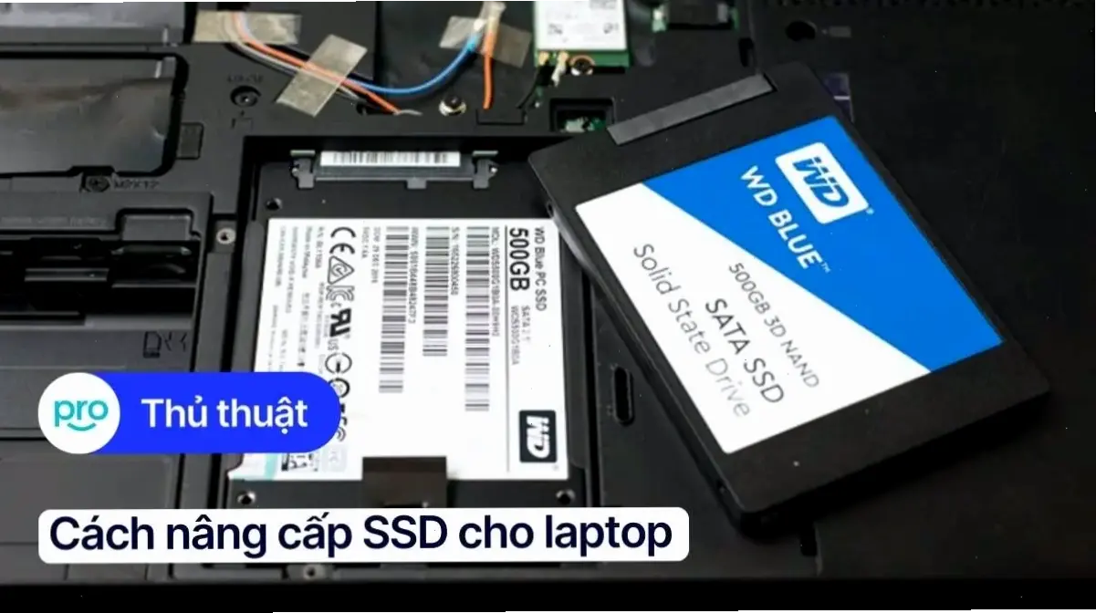 Lợi ích và Chuẩn bị