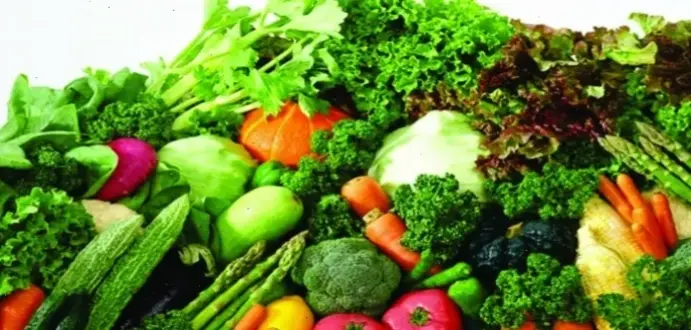 Lý do chế độ ăn quan trọng