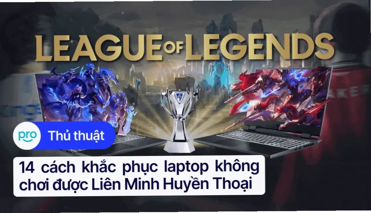 Lý do chính
