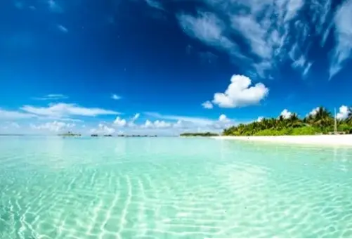 Maldives tối giản tinh tế, mang đến sự thanh lịch với hình ảnh biển cả đơn giản nhưng cuốn hút.