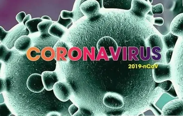 Mẹo thực tế và lời khuyên chung