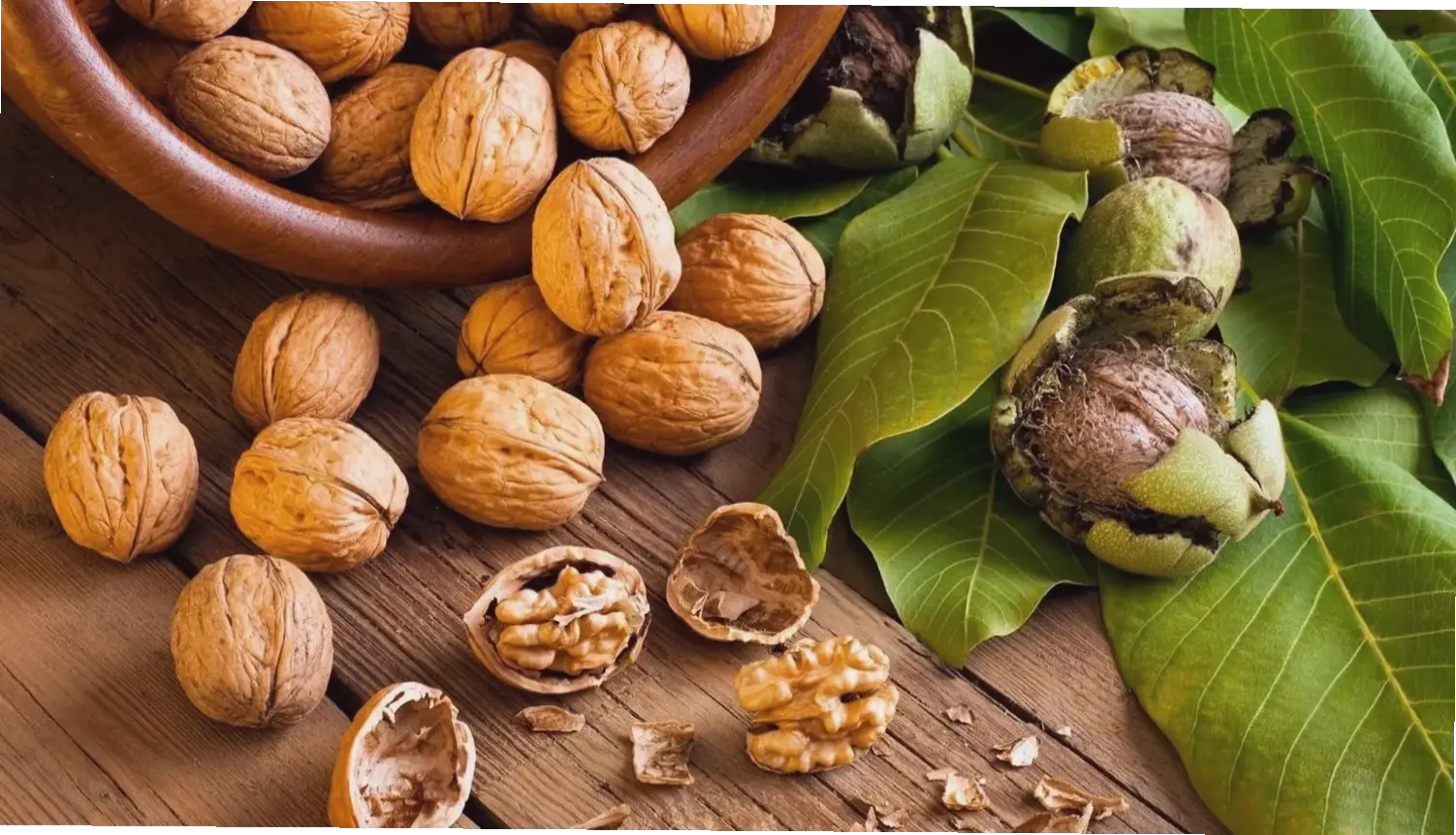 Mẹo thực tế và lời khuyên chung