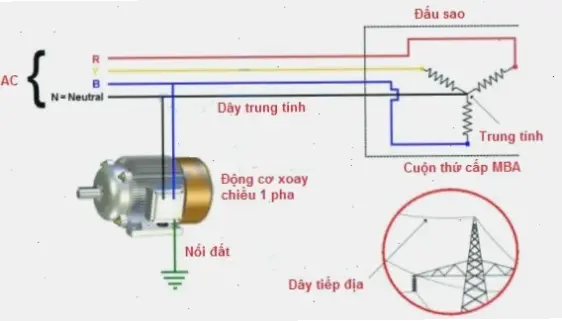 Mẹo thực tế và lời khuyên