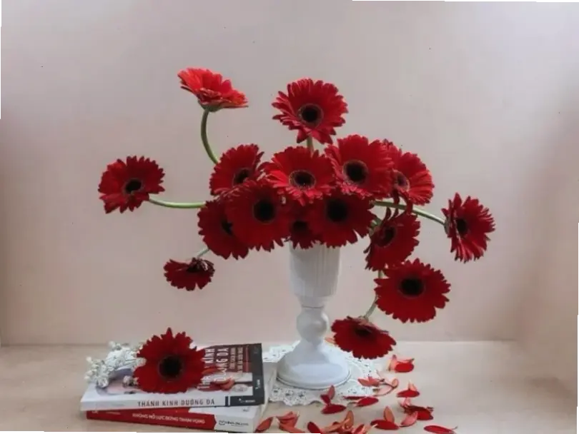 Mừng Tết sum vầy bằng bó hoa đồng tiền đỏ thắm, tượng trưng cho may mắn và hạnh phúc gia đình.