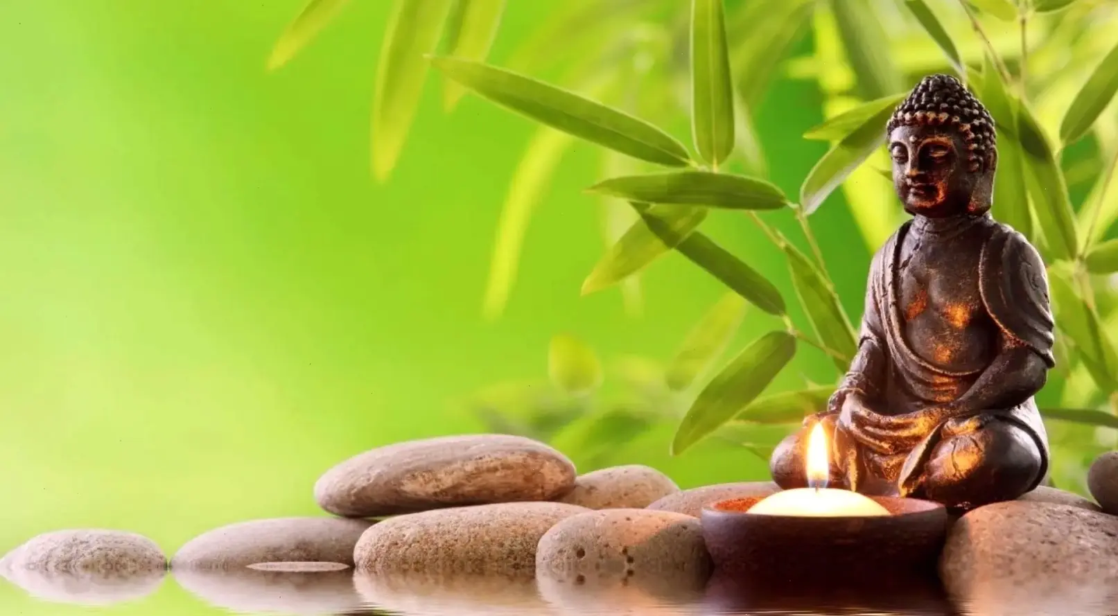 Ngắm tượng Phật thiền trang nghiêm, cảm nhận năng lượng tích cực và sự thanh thản lan tỏa khắp không gian.