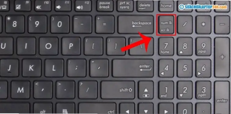 Nguyên Nhân Chính Khiến Bàn Phím Số Laptop Không Hoạt Động