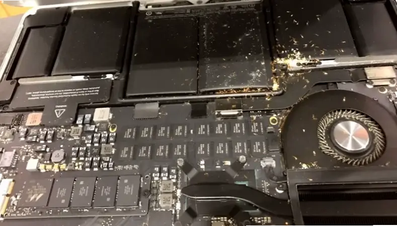 Nguyên nhân chính khiến kiến xâm nhập laptop