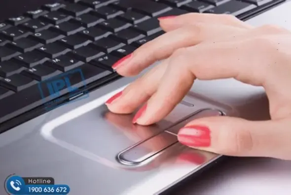 Nguyên nhân chính