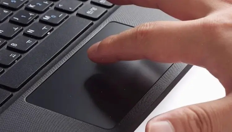 Nguyên nhân chính