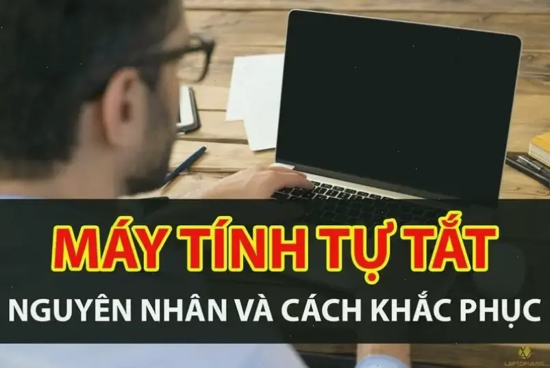 Nguyên nhân chính