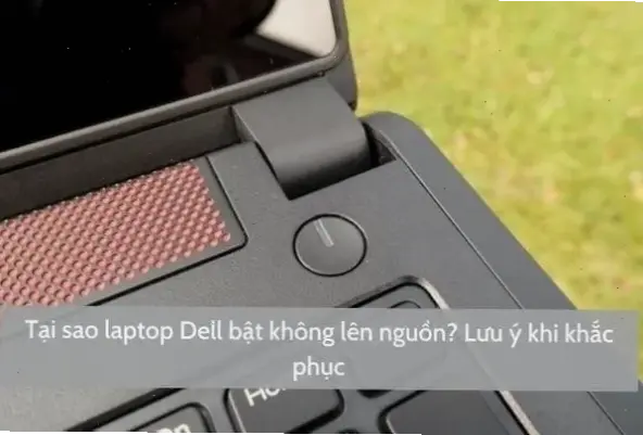 Nguyên nhân phổ biến