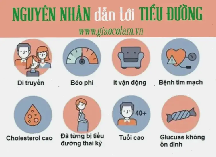 Nguyên nhân và tác động