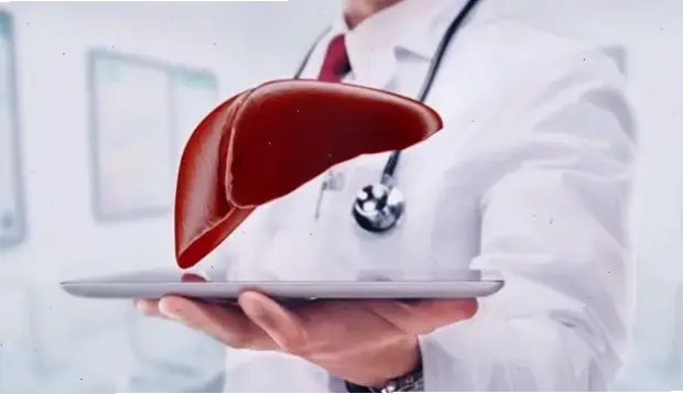 Nguyên nhân và tác động