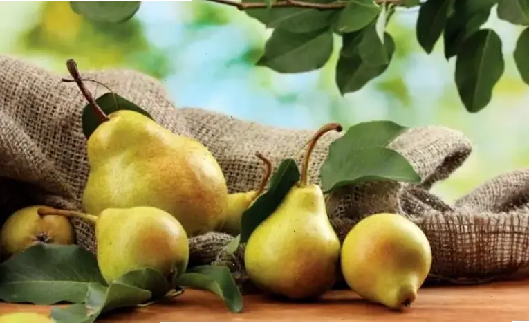 Nguyên nhân và triệu chứng