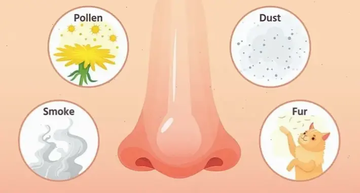 Nguyên nhân và triệu chứng