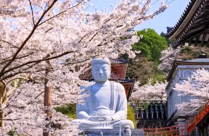 Những bức ảnh Phật Nhật tại chùa cổ, phản ánh lịch sử và tinh thần Phật giáo Nhật Bản huyền bí.