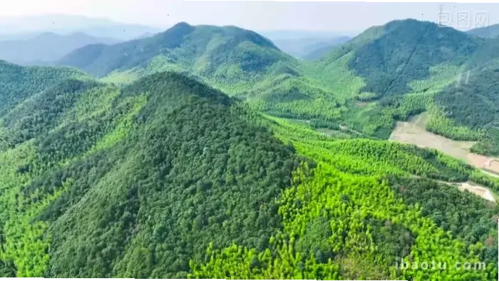 Quan Âm ánh sáng rực rỡ, soi đường dẫn lối trong bóng tối rừng xanh huyền bí.