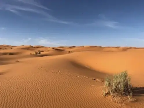 Sahara tối giản tinh tế, mang sự yên bình và đơn sơ của sa mạc vào không gian.