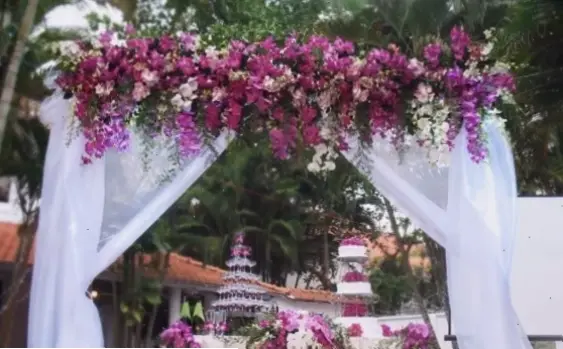 Sử dụng hoa lan để trang trí tiệc cưới, tạo nên không gian lãng mạn và đầy cảm hứng cho mọi người.