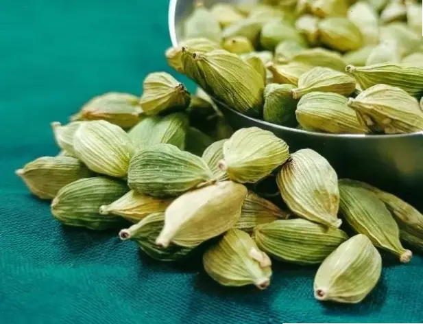 Tầm quan trọng của thực phẩm cho hệ tiêu hóa