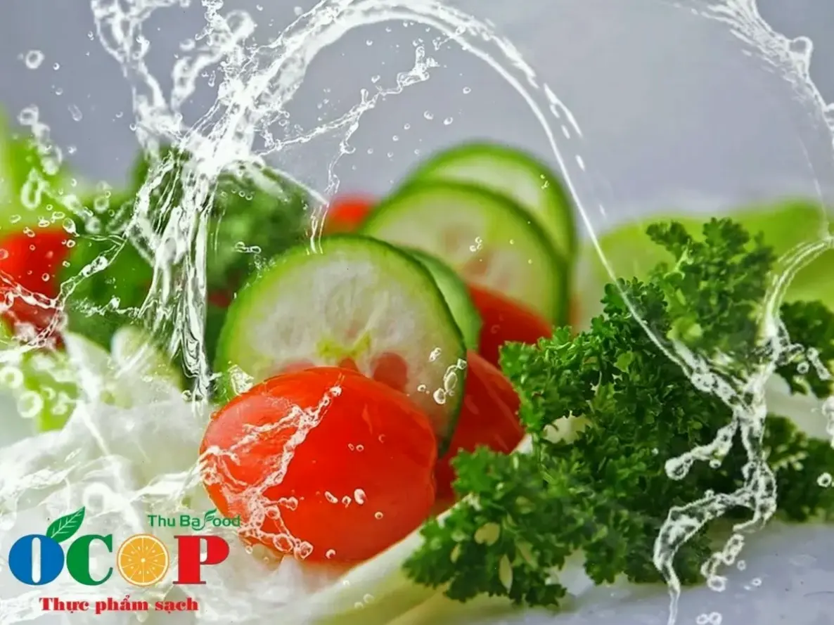 Tầm quan trọng của thực phẩm đối với hệ hô hấp