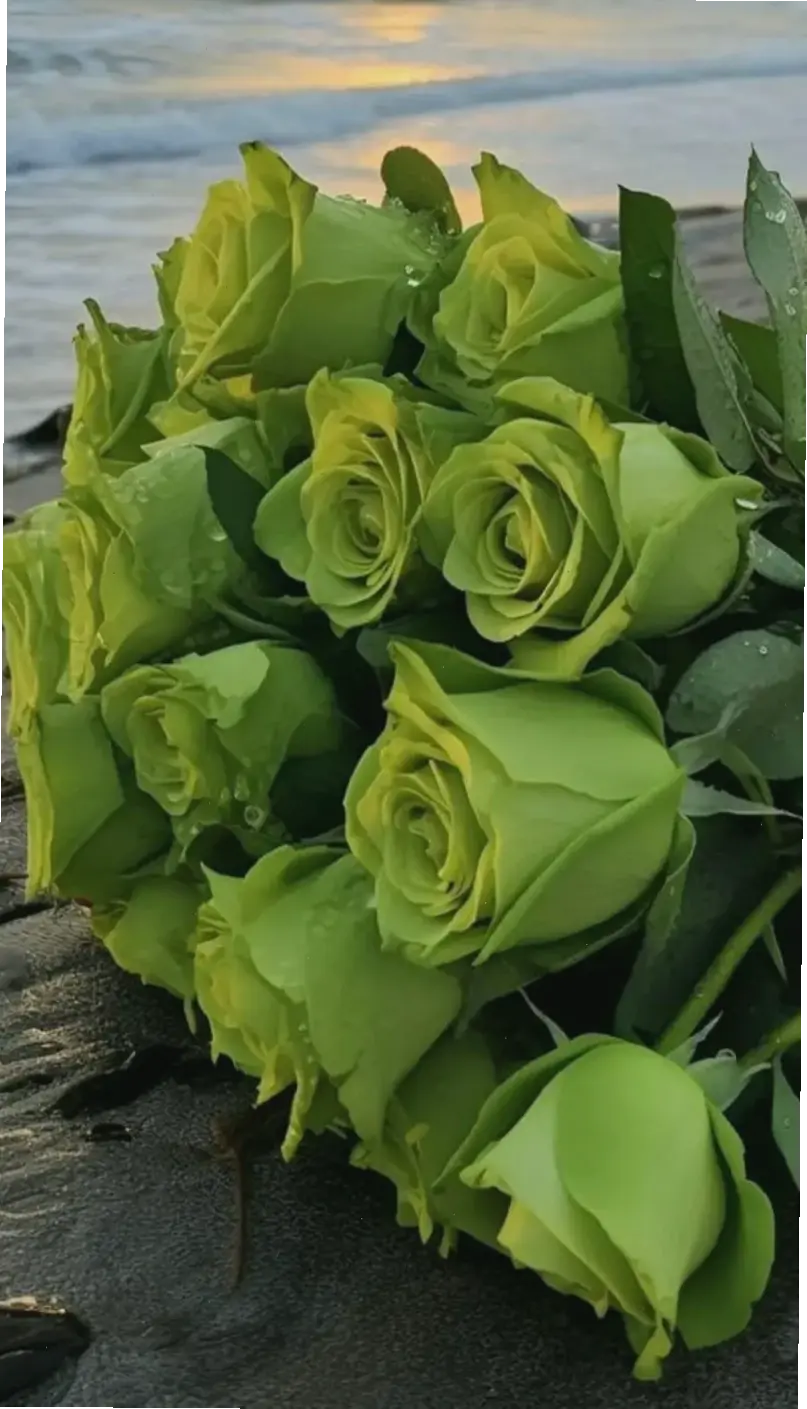 Tạo slide PowerPoint ấn tượng với hình nền hoa hồng tinh tế và chuyên nghiệp.