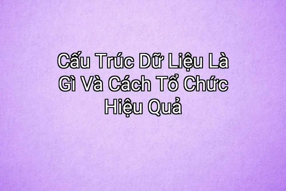 Cấu Trúc Dữ Liệu Là Gì Và Cách Tổ Chức Hiệu Quả