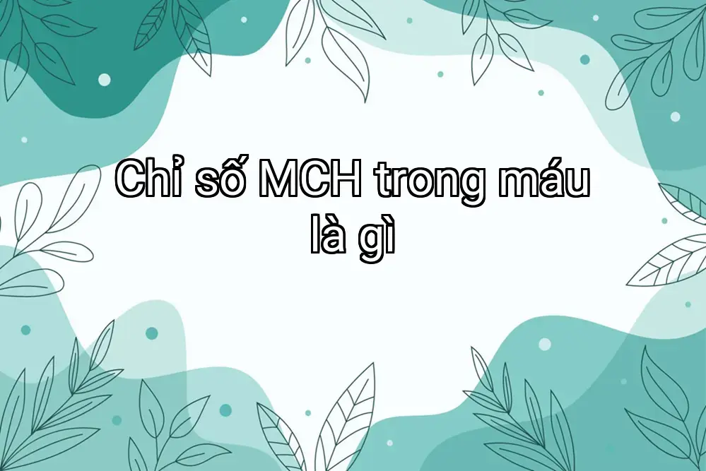 Chỉ số MCH trong máu là gì