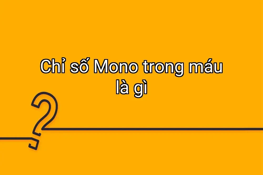 Chỉ số Mono trong máu là gì