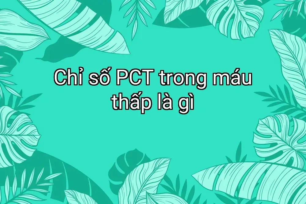 Chỉ số PCT trong máu thấp là gì