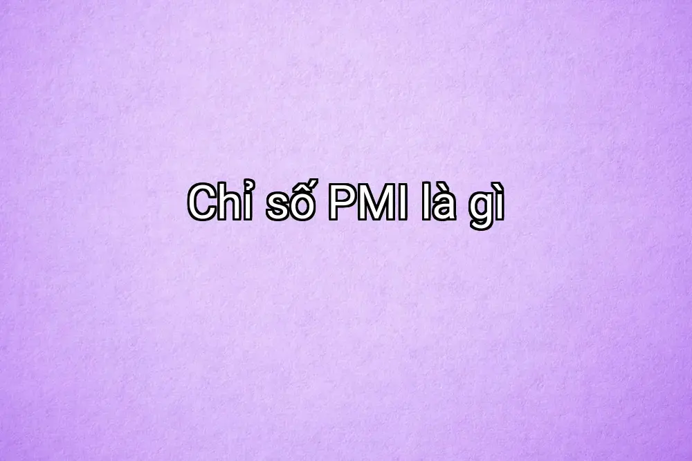 Chỉ số PMI là gì