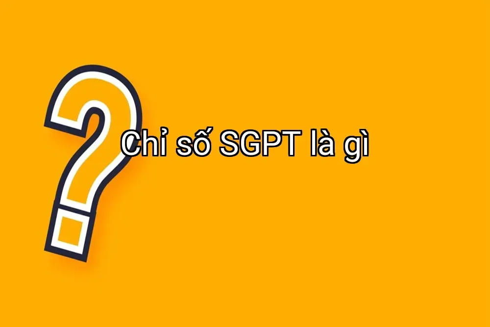 Chỉ số SGPT là gì