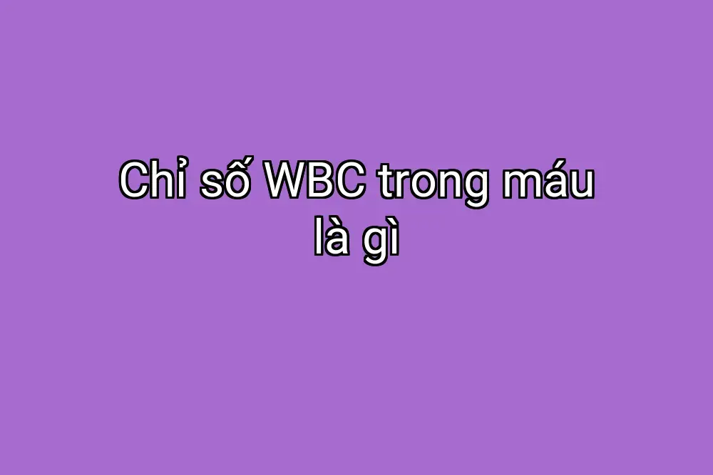 Chỉ số WBC trong máu là gì