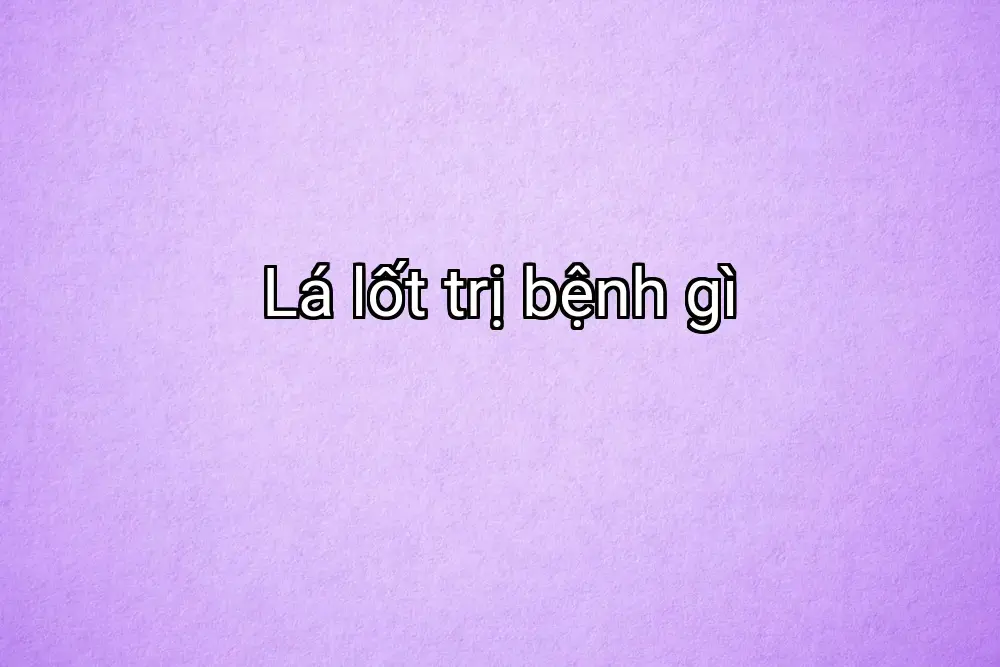 Lá lốt trị bệnh gì