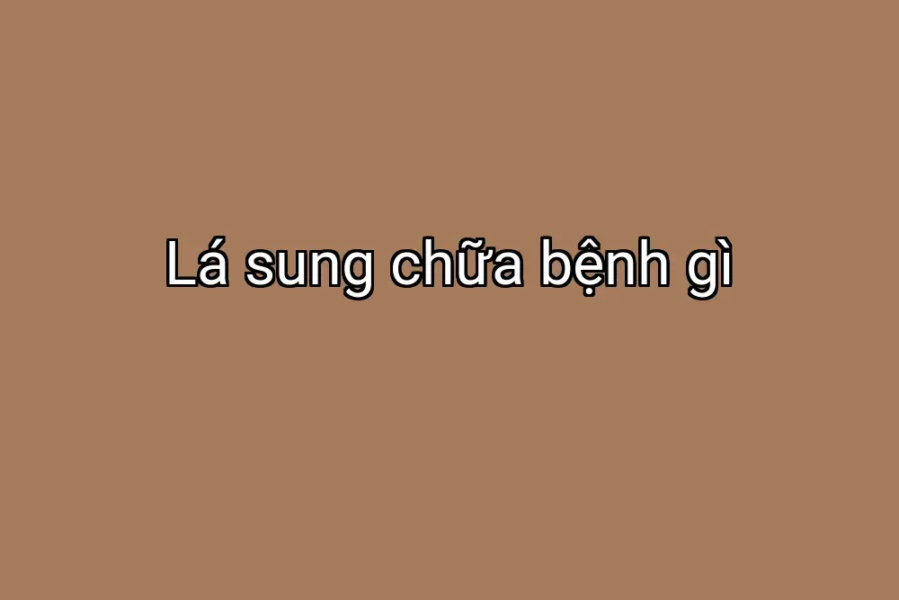 Lá sung chữa bệnh gì