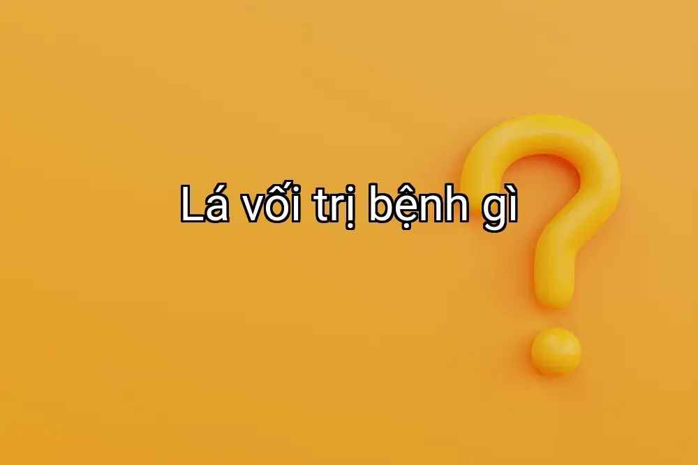 Lá vối trị bệnh gì