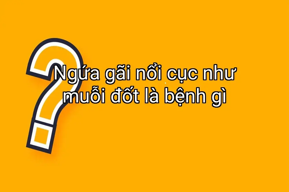 Ngứa gãi nổi cục như muỗi đốt là bệnh gì