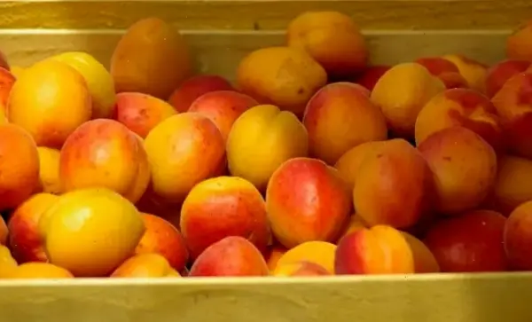 Thông tin chuyên sâu