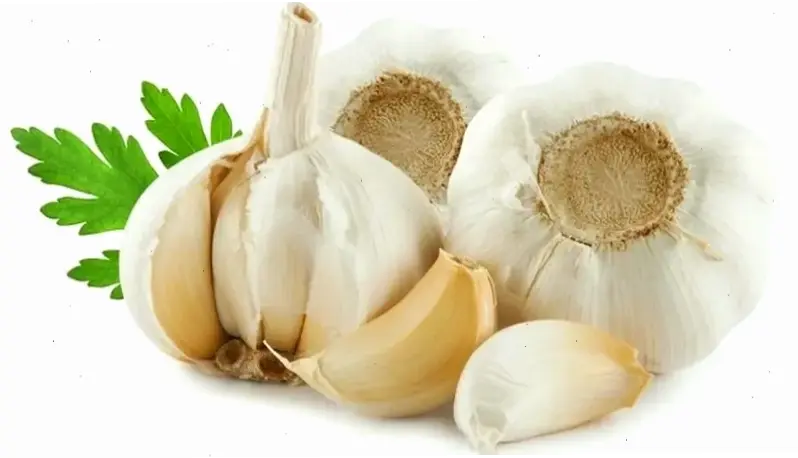 Thực phẩm hữu ích cho người bị viêm mũi dị ứng