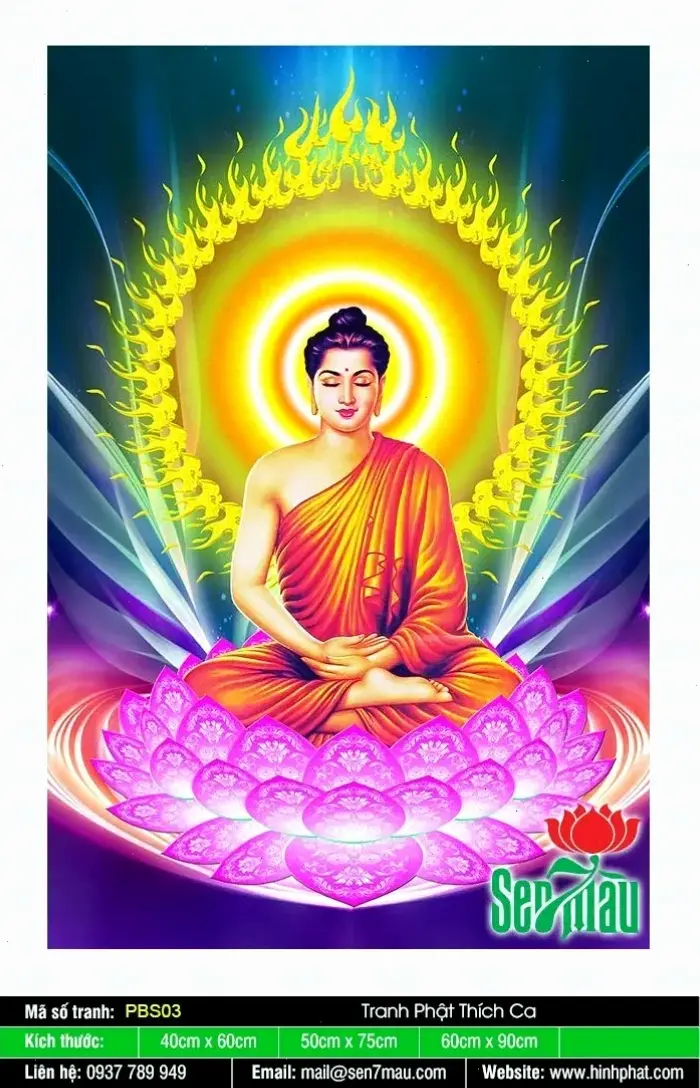 Tìm bình an qua lời giảng Phật Thích Ca, mang đến sự yên tĩnh và hài hòa cho tâm hồn.