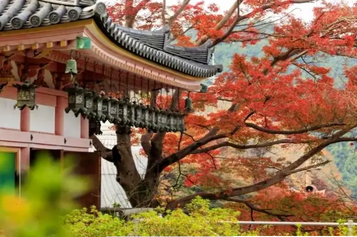 Tìm thấy bình an sâu lắng trong hình ảnh Phật Nhật, nơi từ bi và tĩnh lặng hòa quyện.